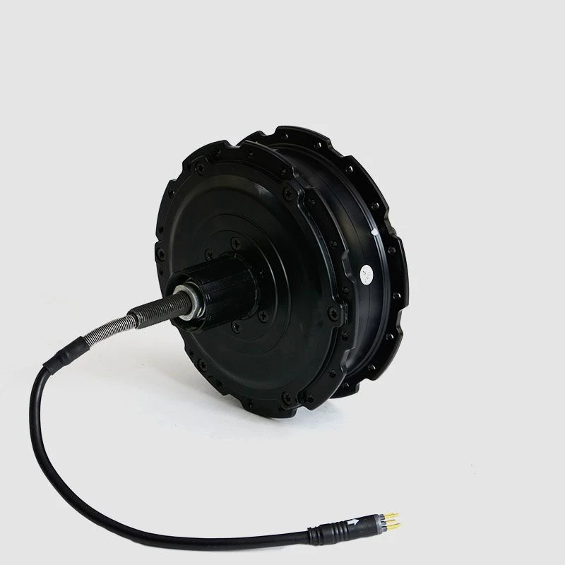 EBS V2 SGI-G Hinterradmotor 36V 250W 5 EBS V2 SGI-G Hinterradmotor 36V 250W – Bild 3